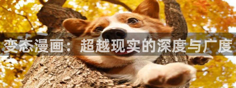 哔咔哔咔漫画picacg官网ios