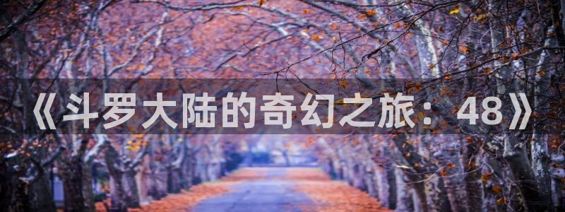 哔咔漫画下载后怎么看